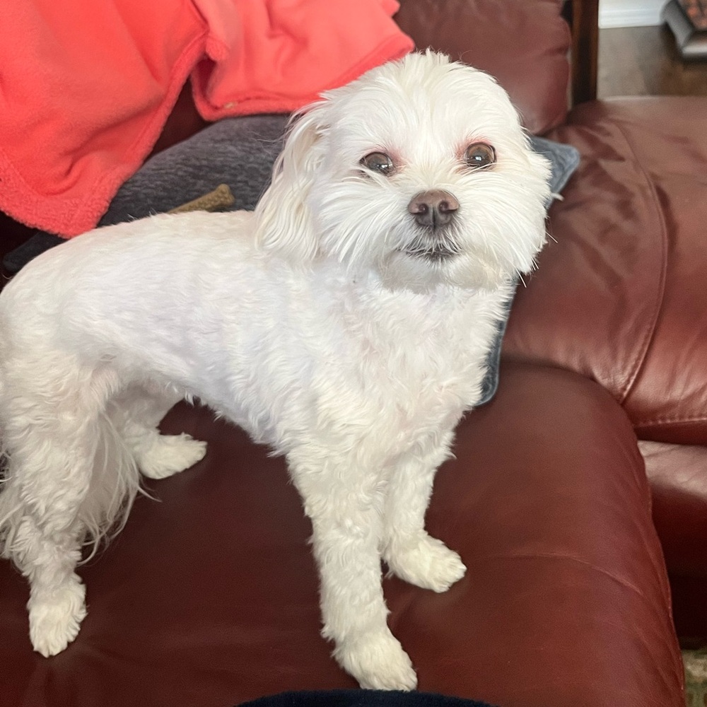 Meet your Posher, Rylie